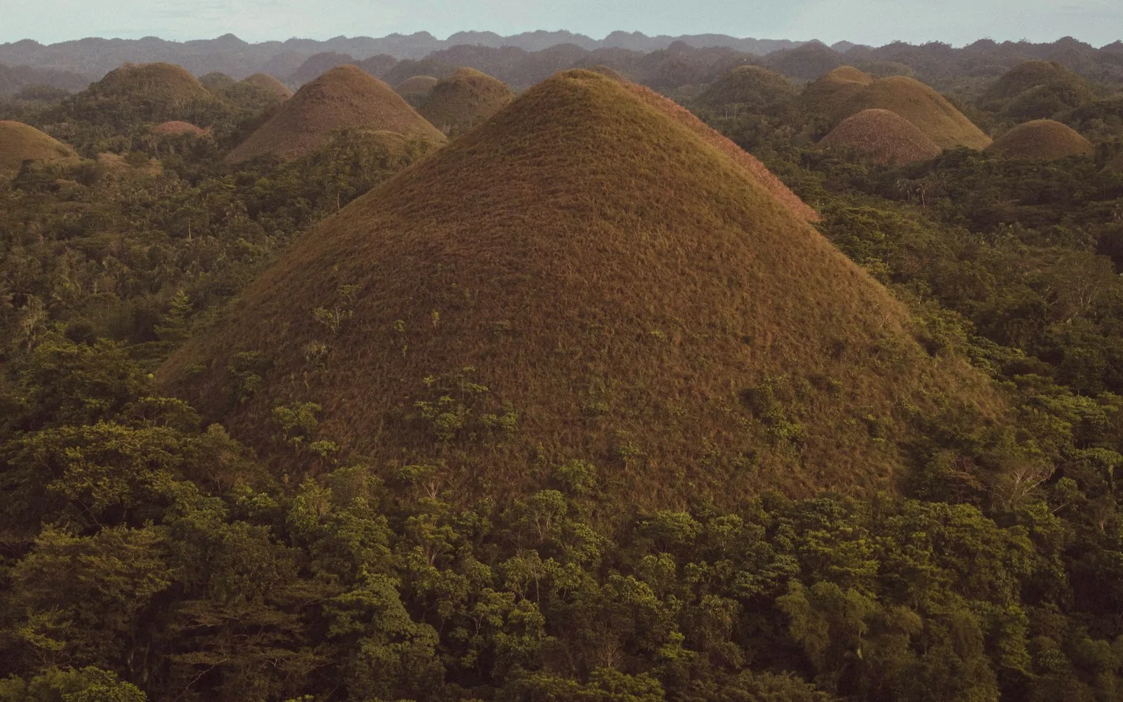 The rolling Chocolate Hills of Bohol, Philippines