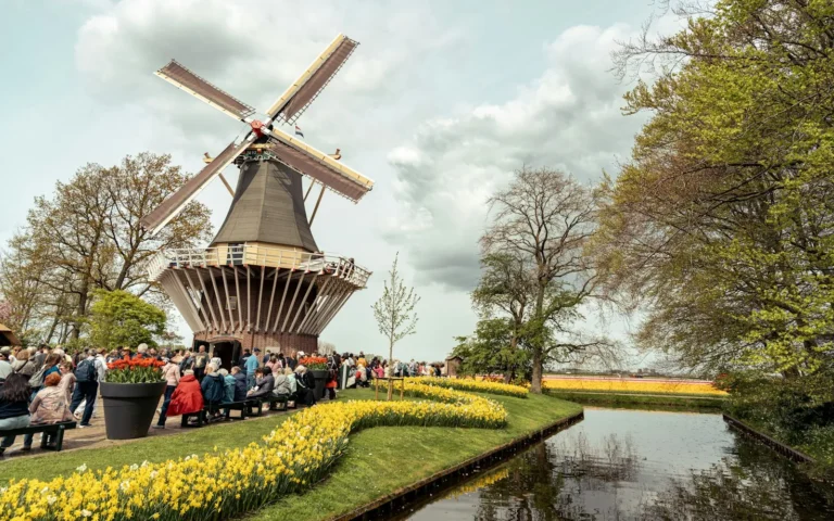 A windmill and tulips along a Dutch waterway in spring