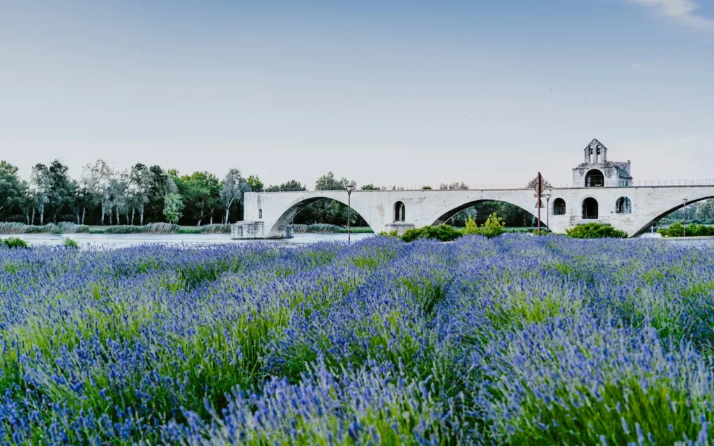 Lavender fields and a stone bridge in Provence, southern France