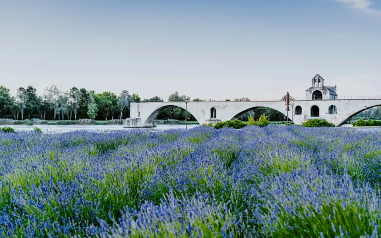 Lavender fields and a stone bridge in Provence, southern France
