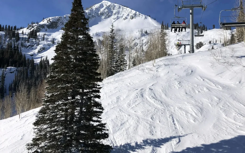 A chairlift over groomed, tree-lined slopes at Deer Valley, Utah
