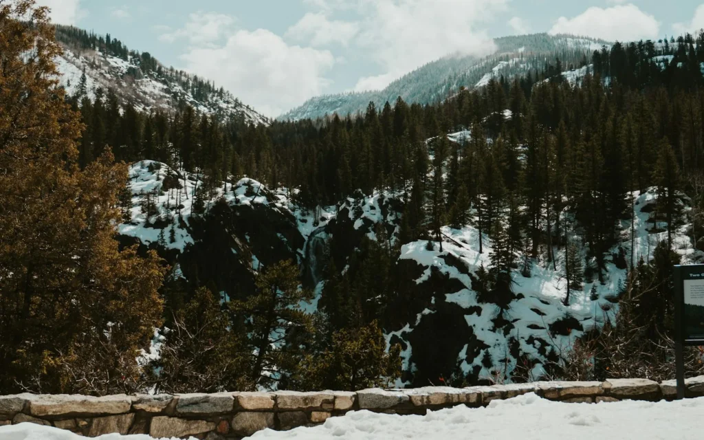 Fresh snow on the rolling terrain near Steamboat Springs, Colorado