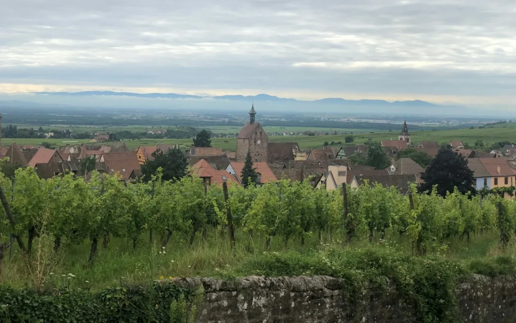 Vineyards running up to a village church spire on the Alsace wine route