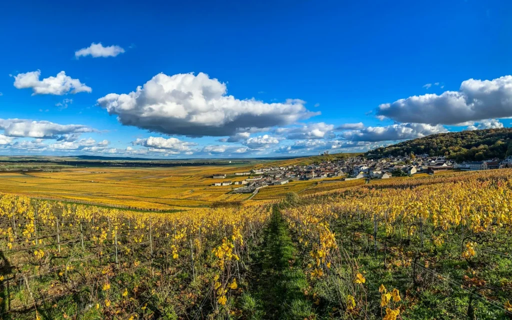 Golden vineyard rows running toward a village in the Champagne region