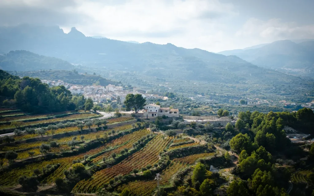 Terraced vineyards and a hillside village in northern Spain's wine country