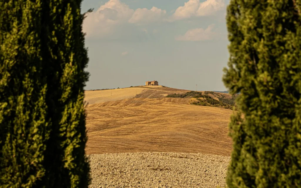 Cypress trees above the rolling hills of Tuscany, Italy