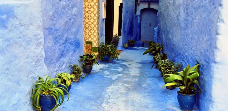 A blue-washed alley with potted plants in the medina of Chefchaouen, Morocco